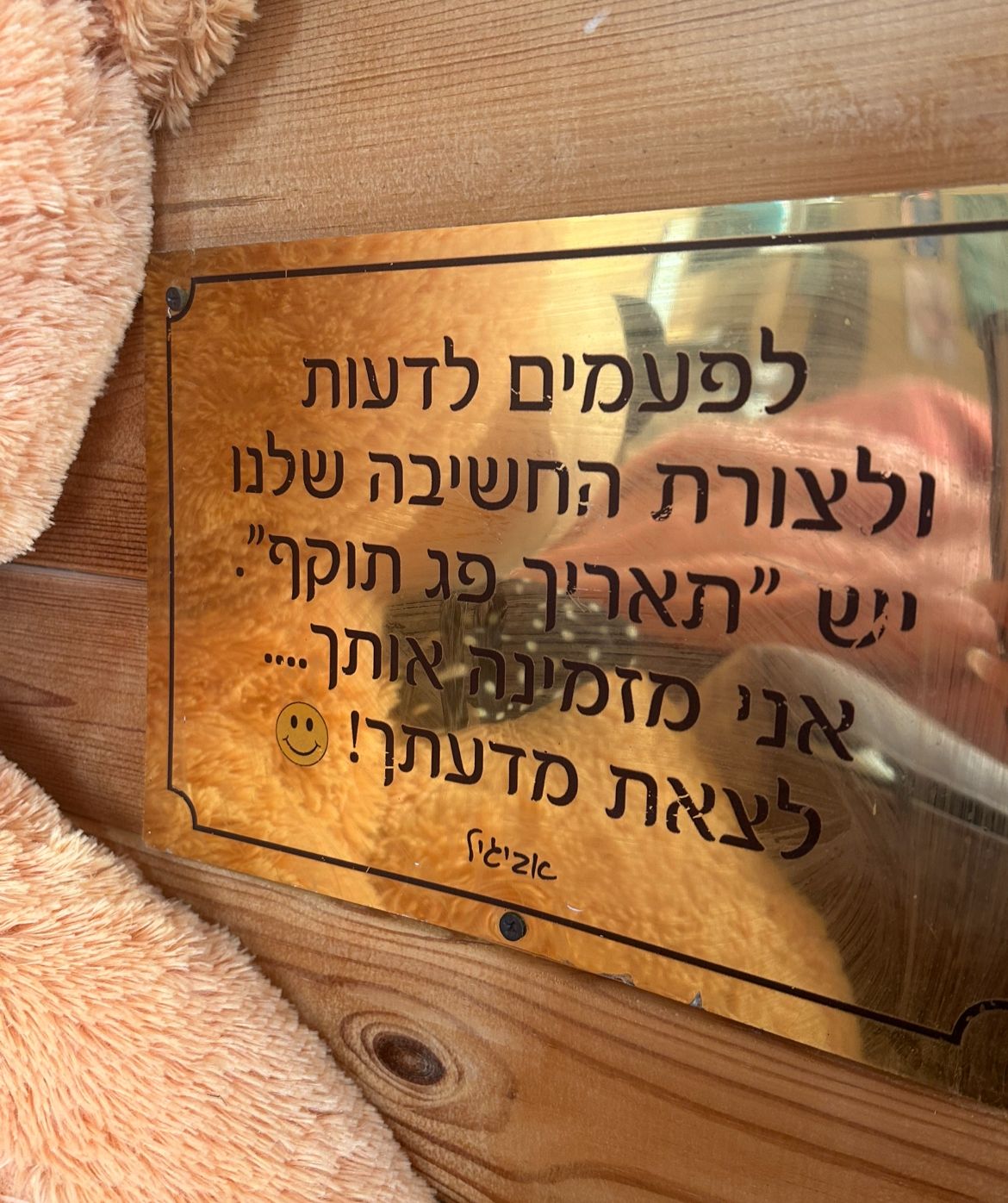 תמונה 28 מהגלריה