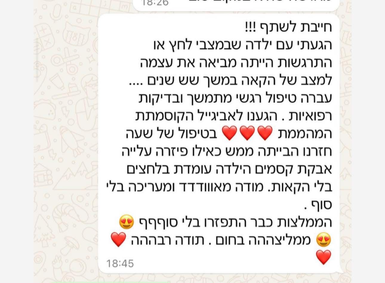 המלצה 8