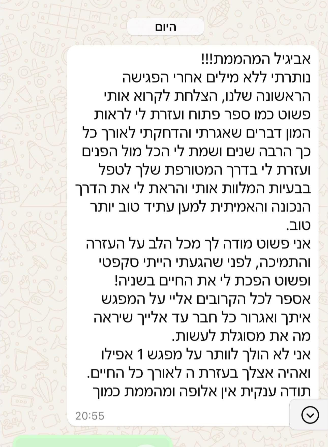 המלצה 12