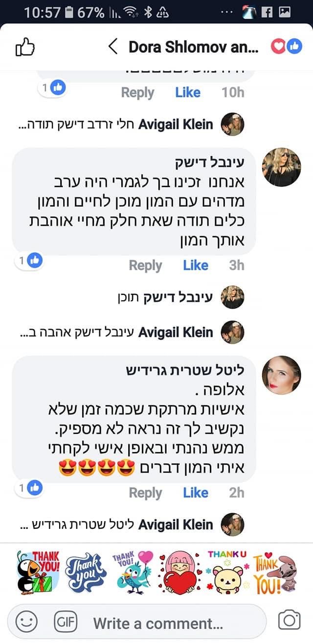 המלצה 13