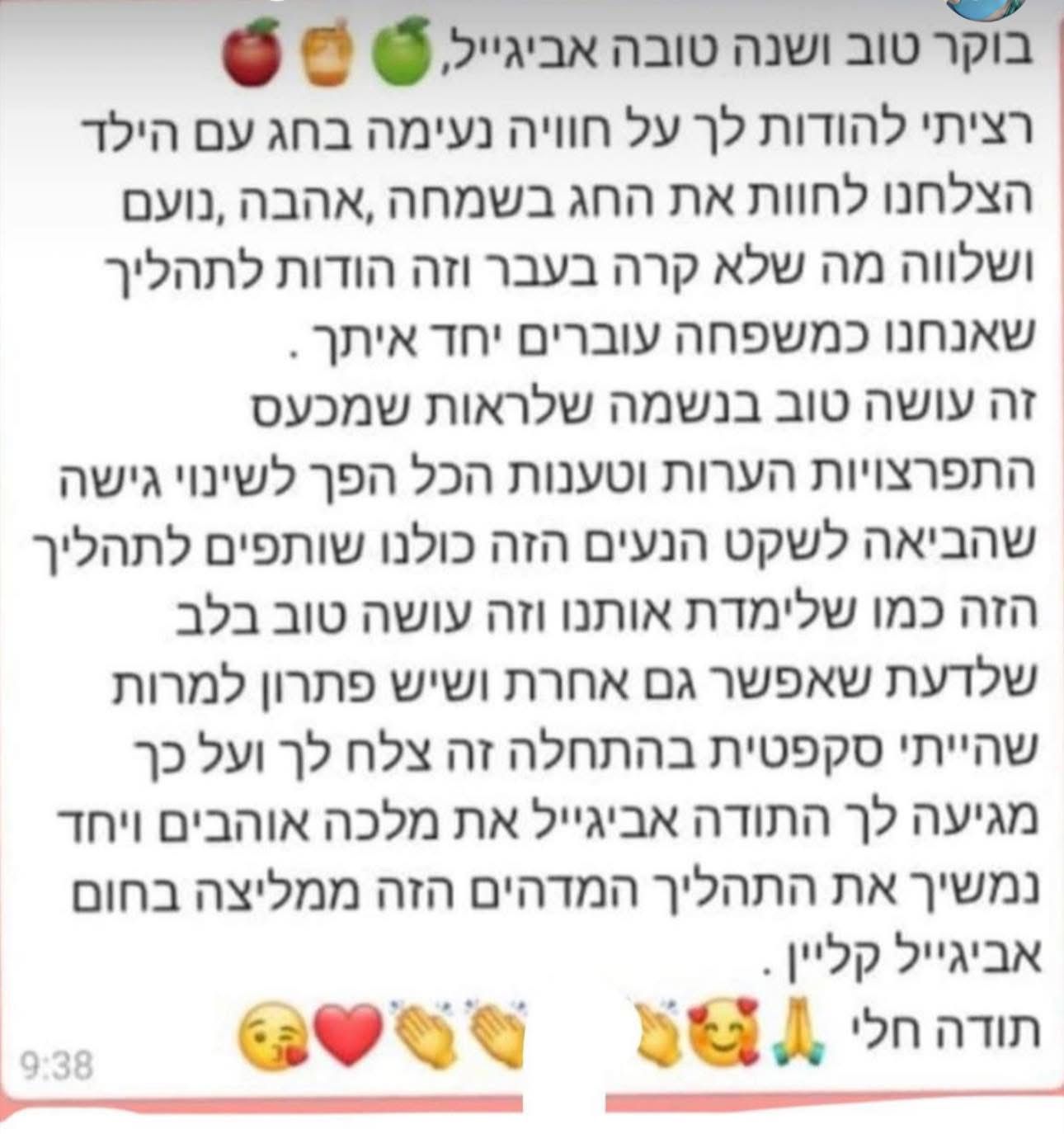 המלצה 28
